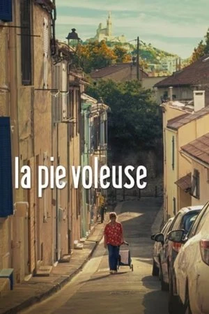  La pie voleuse affiche 